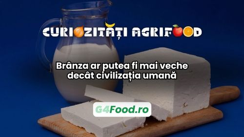 Curiozități agri-food 14 ianuarie: Brânza ar putea fi mai veche decât civilizația umană