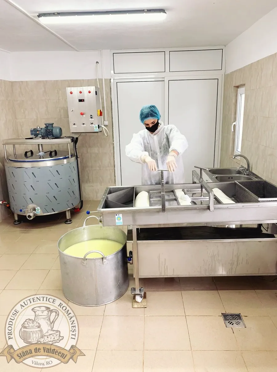 Procesarea produselor la Stâna de Vaideeni, în spațiu controlat