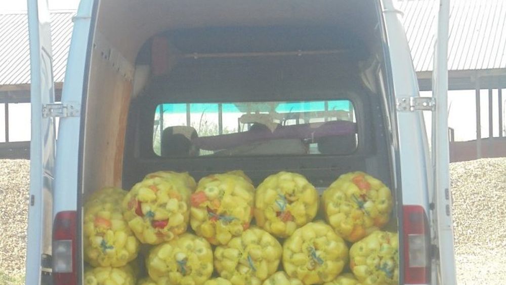 Lantulalimentar.ro în județul Ialomița: Tinerii fermieri din comuna Maia au abandonat legumicultura și s-au angajat la București