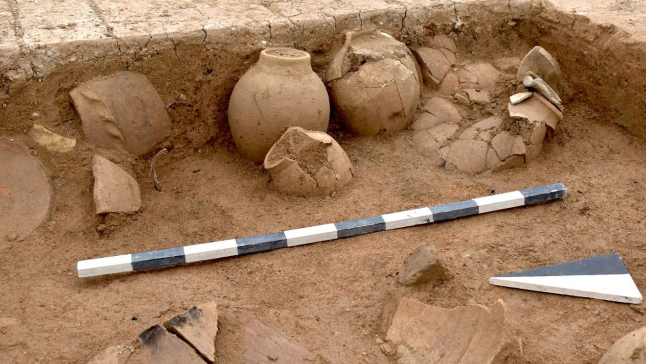 Vin distilat cu o vechime de peste 3.000 de ani, descoperit în estul Chinei/ Lichidul se afla într-un recipient din bronz, datând de la sfârşitul dinastiei Shang