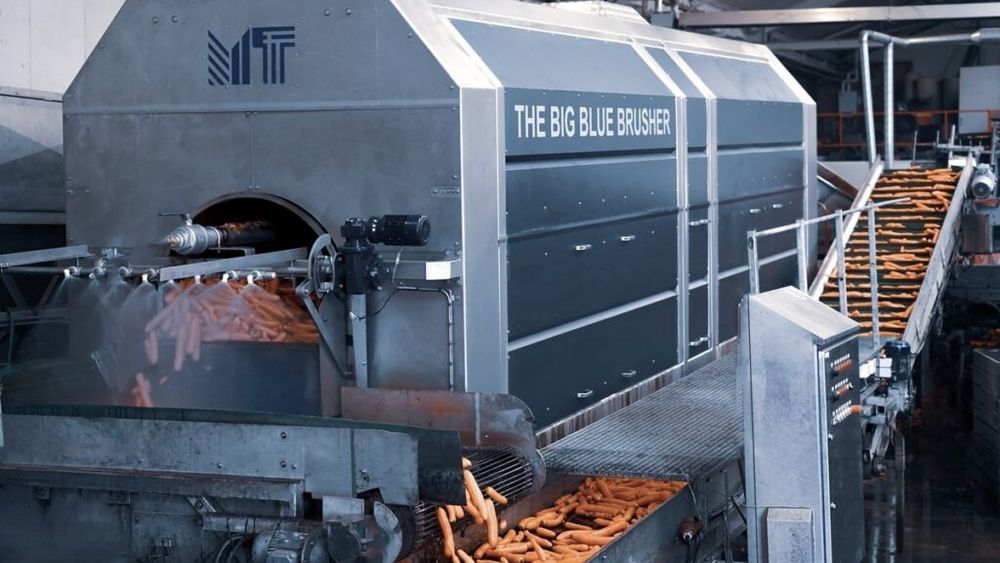 MT Polisher, cel mai mare spălător de morcovi din lume, poate procesa 30 de tone pe oră