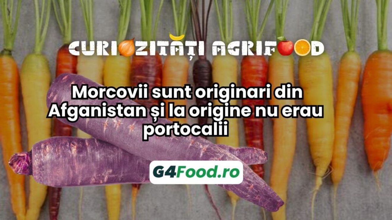 Curiozități agrifood – 04 noiembrie: Morcovii sunt originari din Afganistan și la origine nu erau portocalii