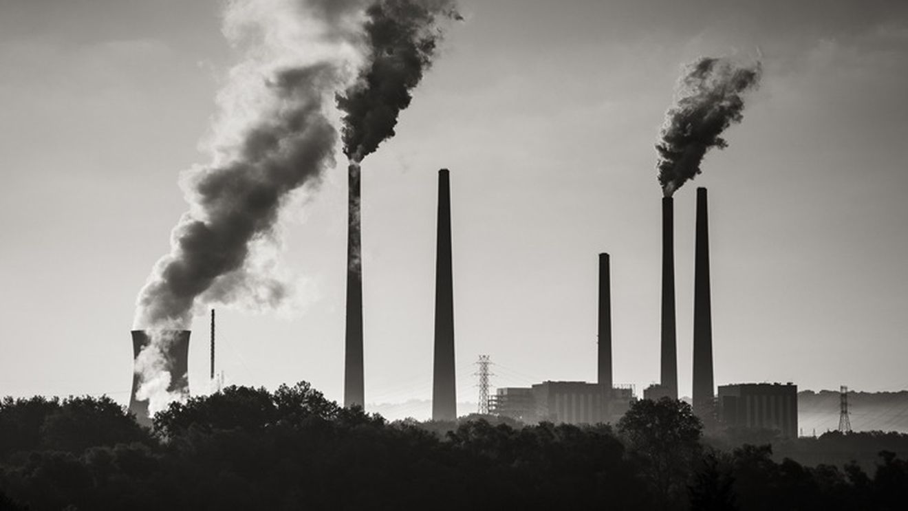 Plăţi de aproape 1,2 miliarde de euro făcute de AFIR pentru proiecte de investiţii şi măsuri de mediu şi climă în 2024