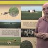 VIDEO | Cultivarea orezului. Terenul se nivelează cu ajutorul laserului și zeci de mii de ha de teren se transformă în suprafață de apă în doar 48 de ore