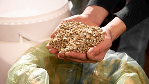 Avertisment pentru fermierii din Caraș-Severin: fraude tot mai frecvente la vânzarea cerealelor / Cântarele sunt manipulate pentru a induce în eroare cumpărătorii