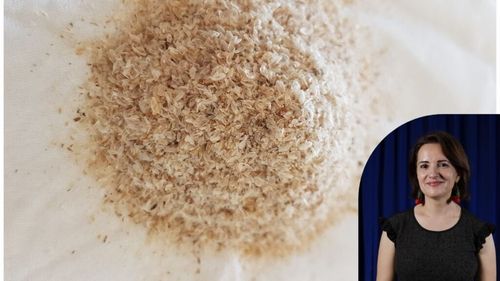 Cinci modalități de a consuma psyllium. Ajută împotriva constipației dar contribuie și la textura unor preparate