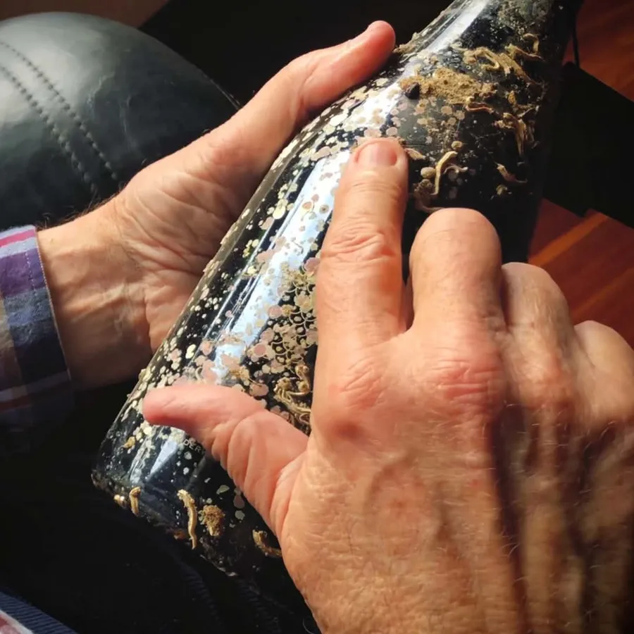 Sursa foto: Elixsea Wines (Instagram)