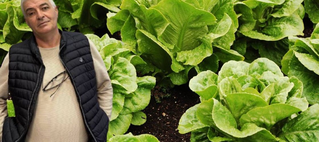 De la pompă la raft | Criza carburanților va afecta grav agricultura în 2026. Ion Păunel, legumicultor din Olt: Dacă fermierii primesc un șoc anul acesta și nu reușesc să se capitalizeze, o să vedeți falimente multe