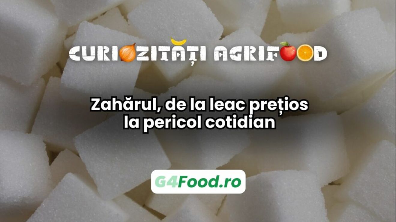 Curiozitate agri-food: Zahărul, de la leac prețios la pericol cotidian / Secole la rând, a fost considerat condiment și medicament rar, nu aliment de bază / Azi îl consumăm în exces