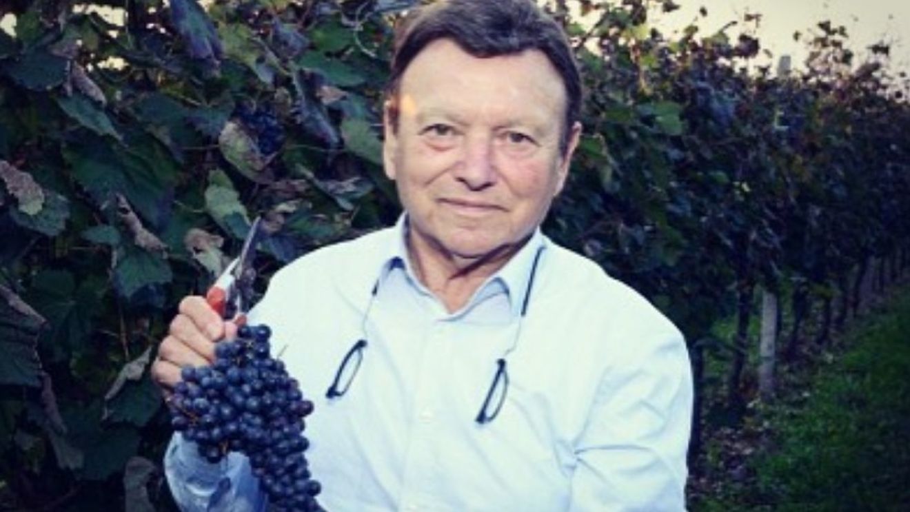 Un italian care a murit și-a lăsat compania angajaților, prin testament / Vigneti Pittaro produce 300 de mii de sticle de vin anual și deține 85 de hectare de viță de vie