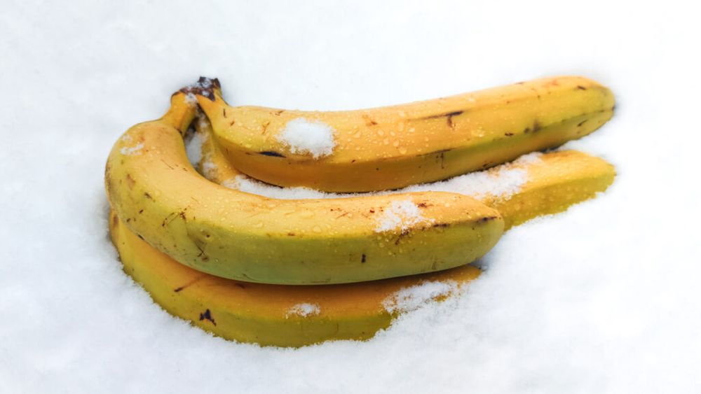 Bananele congelate își schimbă gustul și ne modifică senzația de sațietate / Efectele surprinzătoare, explicate de specialiști