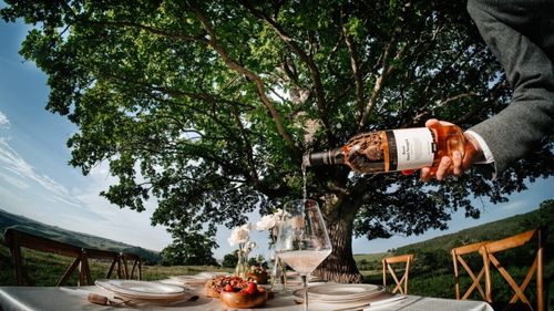 Tendințe pe piața vinurilor | Domeniile Davidescu: „Vinurile albe cresc, cele roșii scad ușor, rosé-ul își menține ritmul vânzării”