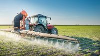 Asociația Industriei de Protecția Plantelor din România și Clubul Fermierilor Români: Politicile UE privind pesticidele amenință producția și exporturile României