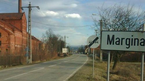 Petrică Lucian, un tânăr păstor din Margina, Timiș, vrea să revină în sat după terminarea facultăţii