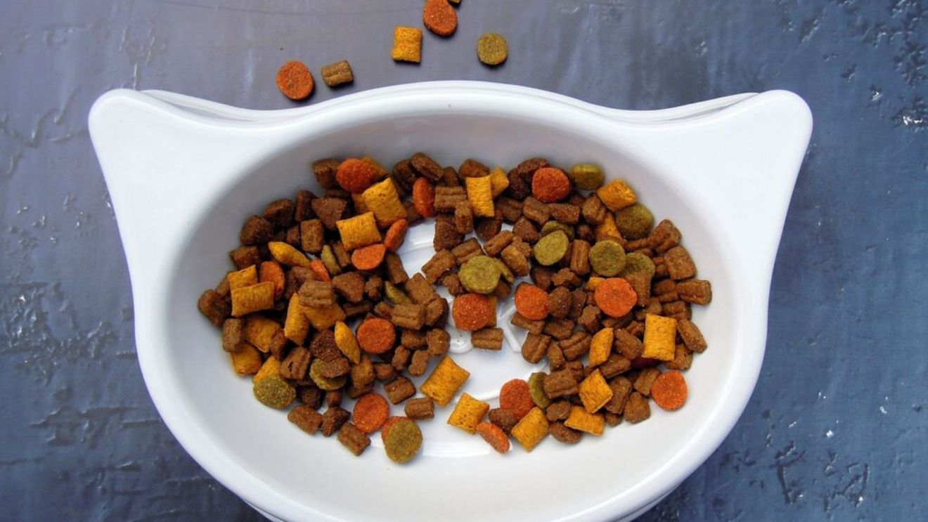 VIDEO Droguri ascunse într-o pungă de mâncare de pisici și aduse în România prin intermediul unei firme internaţionale de curierat