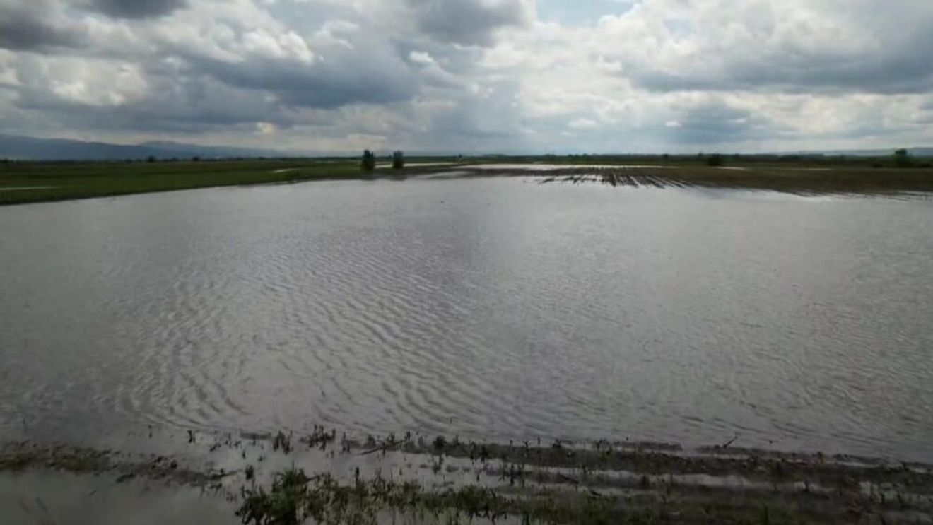FOTO-VIDEO | Imaginile dezastrului lăsat în urmă de inundații în Covasna: „Apele i-au luat culturile de cartofi, sfeclă și porumb. Fermierul este în stare de șoc și încearcă să-și revină!” / „Fermierii nu au putut intra în câmp decât cu tractoarele” / „Avem de toate: și culturi spălate, și culturi băltite”