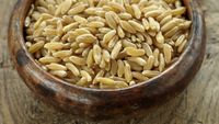 Cereala antică mai bogată în proteine decât quinoa. Nutriționiștii o recomandă pentru energie și sațietate