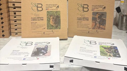 Portrete de căței care așteaptă să fie adoptați, pe cutiile de pizza. Ideea unui local din Italia a început să se extindă, fiind deja adoptată de 15 pizzerii de la Genova
