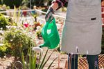 Cum își udă grădinile britanicii, după interdicția de a folosi furtunurile racordate la rețeaua de apă / Metodele permise care ajută plantele să supraviețuiască