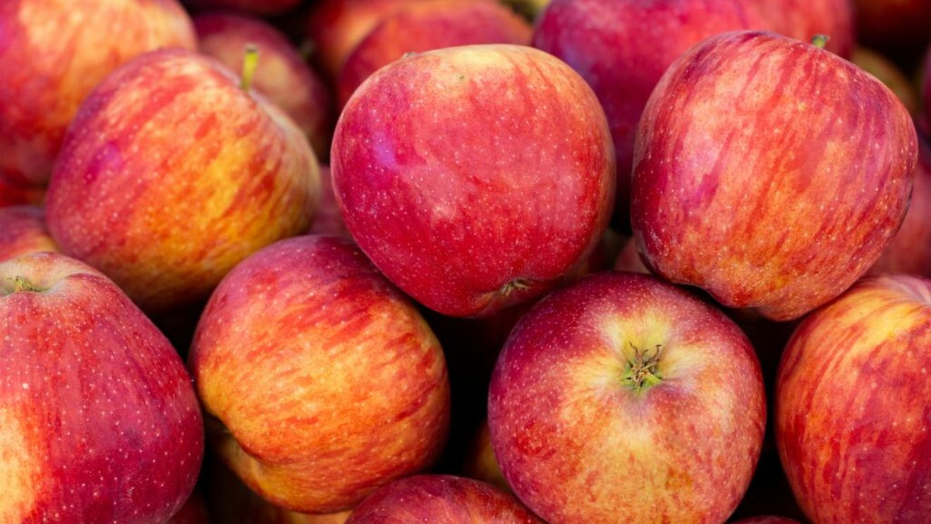Soiul de mere de care fug americanii: „Aproape că a distrus industria merelor”. Un fermier explică ce s-a întâmplat cu fructul cândva extrem de popular