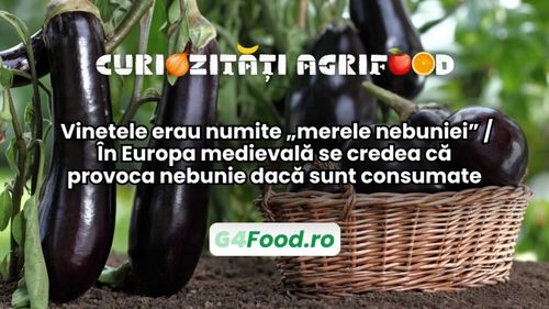 Curiozități agri-food 20 decembrie / Vinetele erau numite „merele nebuniei” / În Europa medievală se credea că provoca nebunie dacă sunt consumate