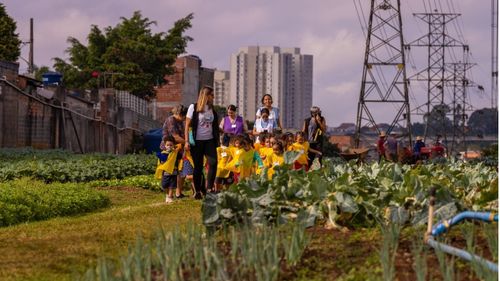 „Orașe fără foame”, proiectul prin care terenurile neutilizate din zonele urbane sunt transformate în grădini de legume productive / Se creează locuri de muncă, iar comunitățile locale au acces la alimente sănătoase