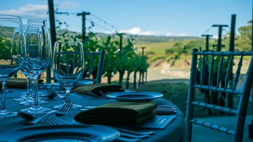 Turismul viticol a devenit tot mai popular în rândul turiștilor români și străini / România se clasează pe locul al 13-lea mondial la producția de vin