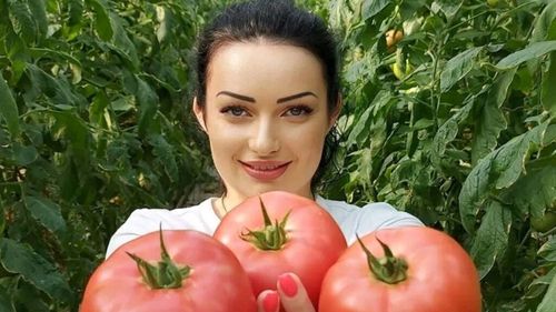 Consumul de roșii, benefic pentru reducerea hipertensiunii arteriale - studiu Jurnalul European de Cardiologie Preventivă