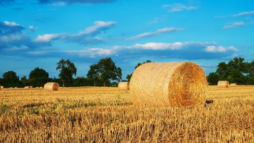 Opt sute de baloţi de ovăz şi lucernă, un grajd şi trei anexe au ars în două gospodării din Mihăileşti - Giurgiu