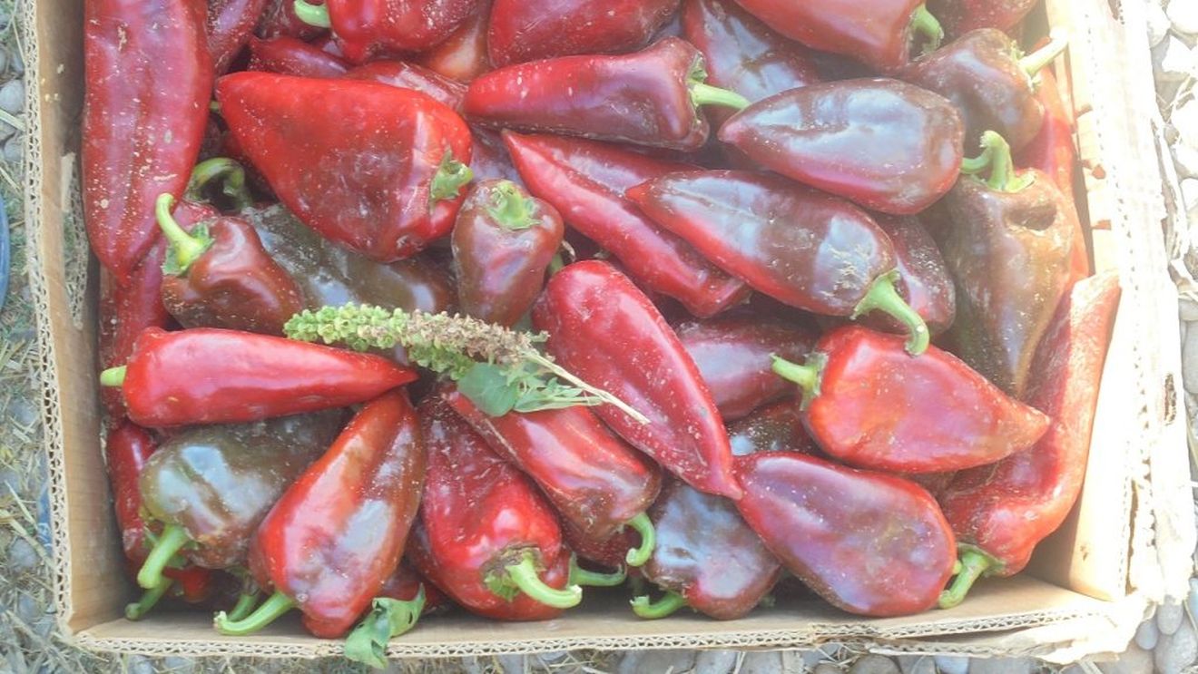 Legumele din Buzău, mai scumpe anul acesta din cauza secetei prelungite