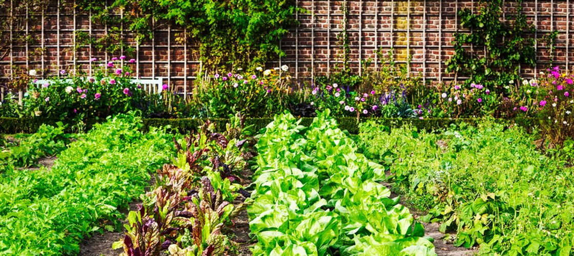 Peste 120 de expozanți, ateliere și demonstrații pentru grădinari, la „Zilele Horticulturii Bucureștene”, între 7 și 10 mai