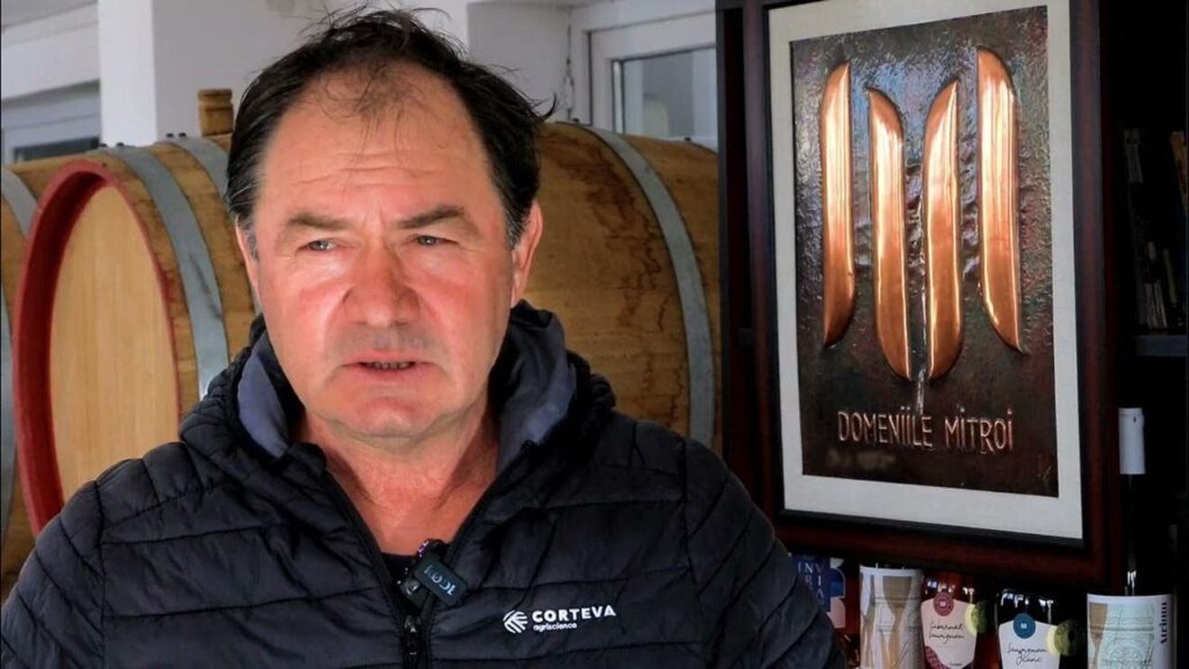 Cum a reușit viticultorul Dumitru Banea (Domeniile Mitroi) să combată făinarea la vița de vie: „Unele soiuri sunt foarte vulnerabile în stadiile timpurii de creștere. Această moleculă oferă protecție eficientă în aceste faze, chiar și în sezoanele mai umede”