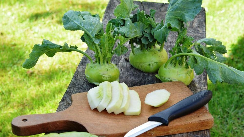 Gulia: O legumă nutritivă cu tradiție și viitor promițător / Acesta este un superaliment care ajută la pierderea în greutate, susține sănătatea rinichilor și previne apariția unor boli