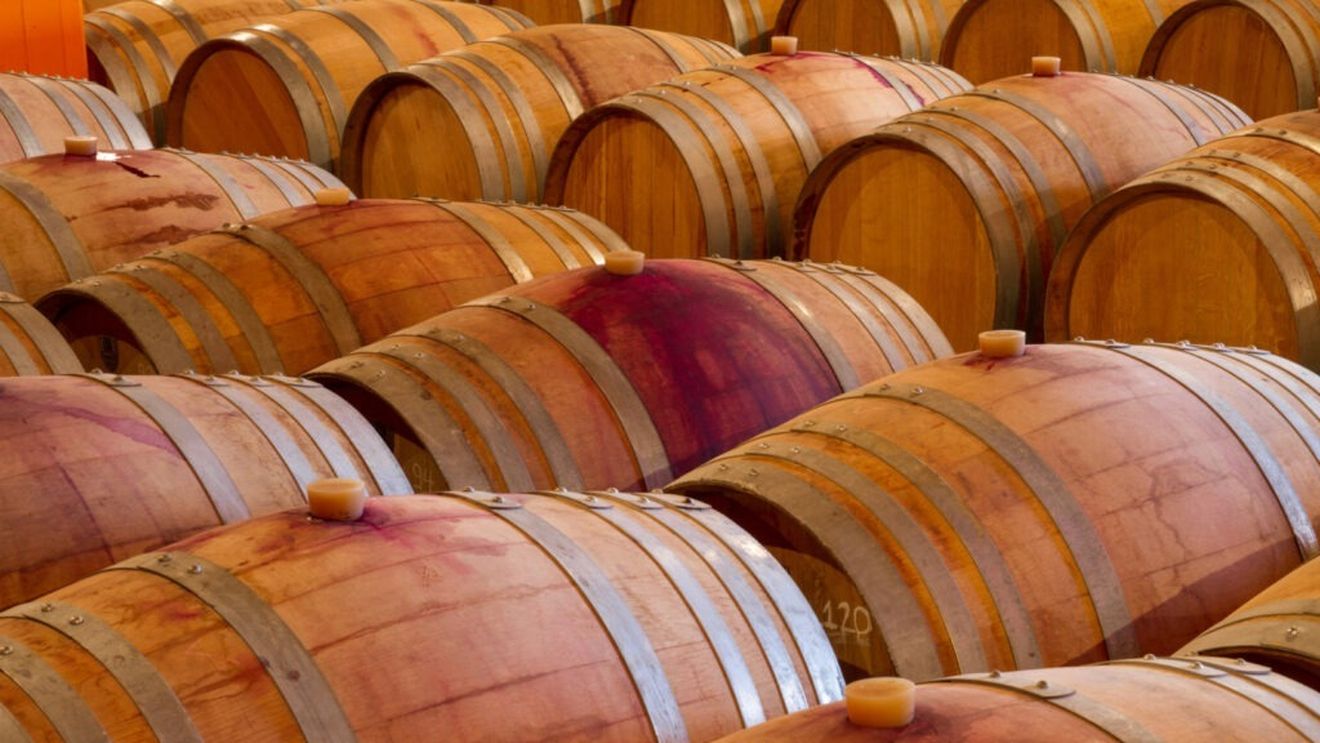 De ce contează stejarul în vinificație / Diferența  dintre stejarul american și cel francez și cum influențează fiecare gustul vinului