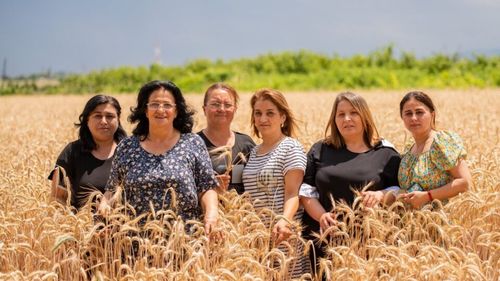 ANALIZĂ | De ce a declarat ONU anul 2026 drept Anul Internațional al Femeii Fermier / Rolul femeilor în agricultură, statistici Eurostat și soluții FAO