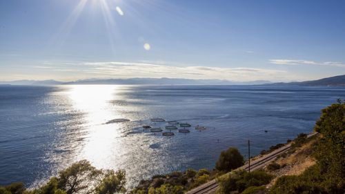 Fermele de acvacultură din ariile protejate din Tulcea ar putea primi compensaţii