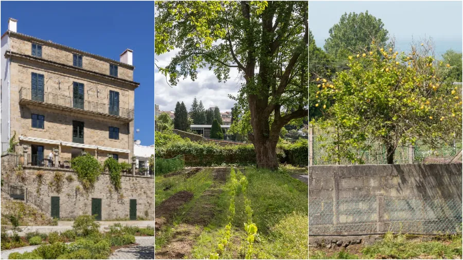 un-arhitect-britanic-a-pus-pe-picioare-o-gradina-urbana-in-santiago-de-compostela