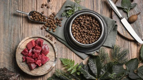 Producătoarea unui brand de snacks-uri organice pentru animale le pune și în pachetul propriilor copii. Femeia susține că prioritățile nutriționale pentru oameni ar trebui să se reflecte și în hrana animalelor de companie