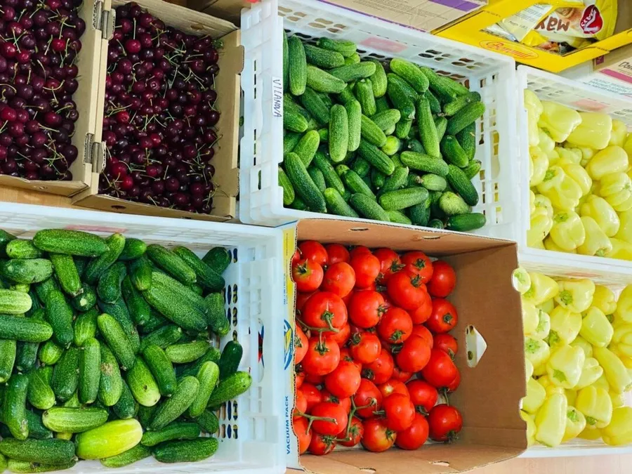 legume, magazine romanesti, Spania, calatorii culinare