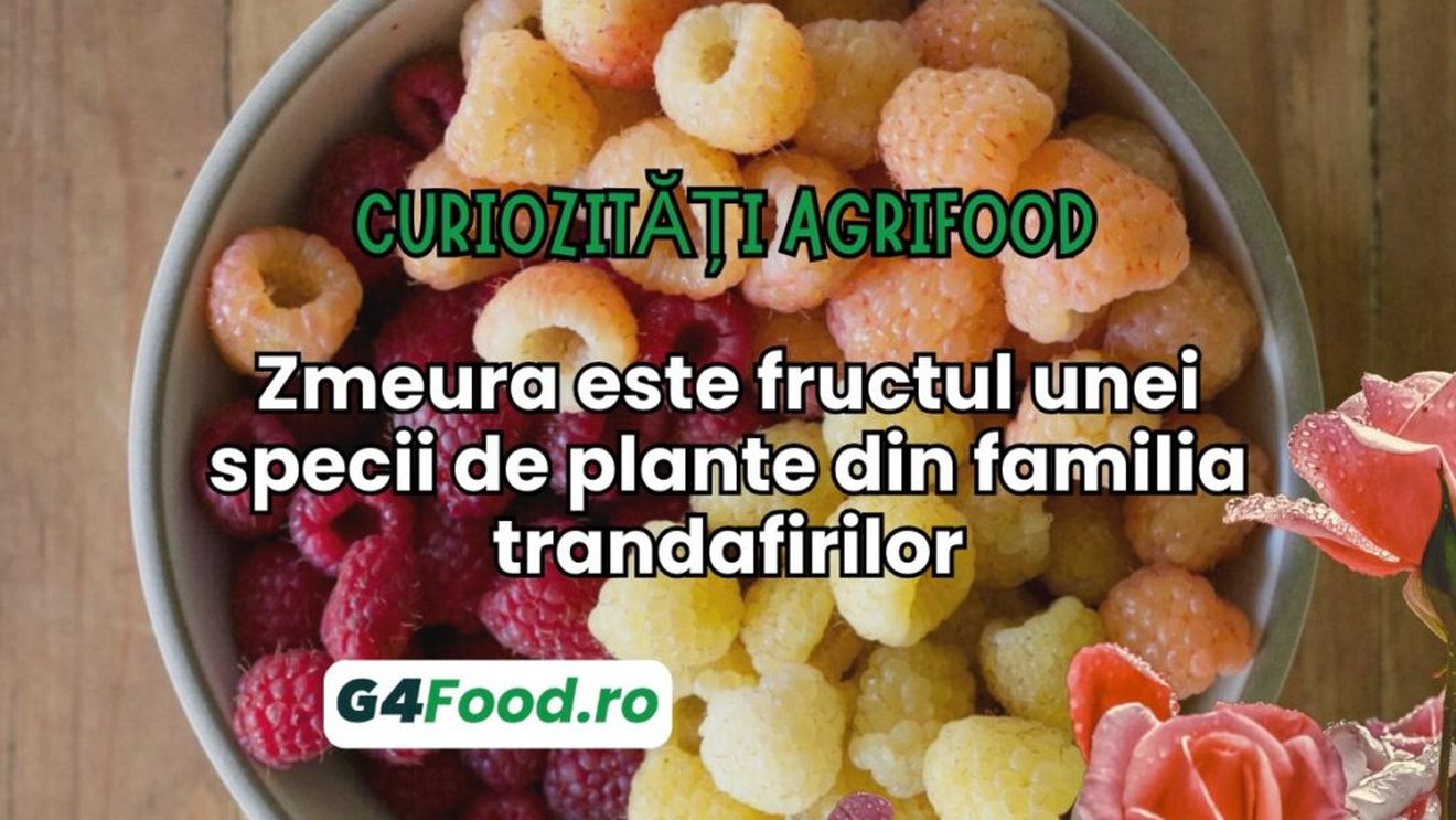 Curiozități agrifood - 18 iulie: Zmeura este fructul unei specii de plante din familia trandafirilor