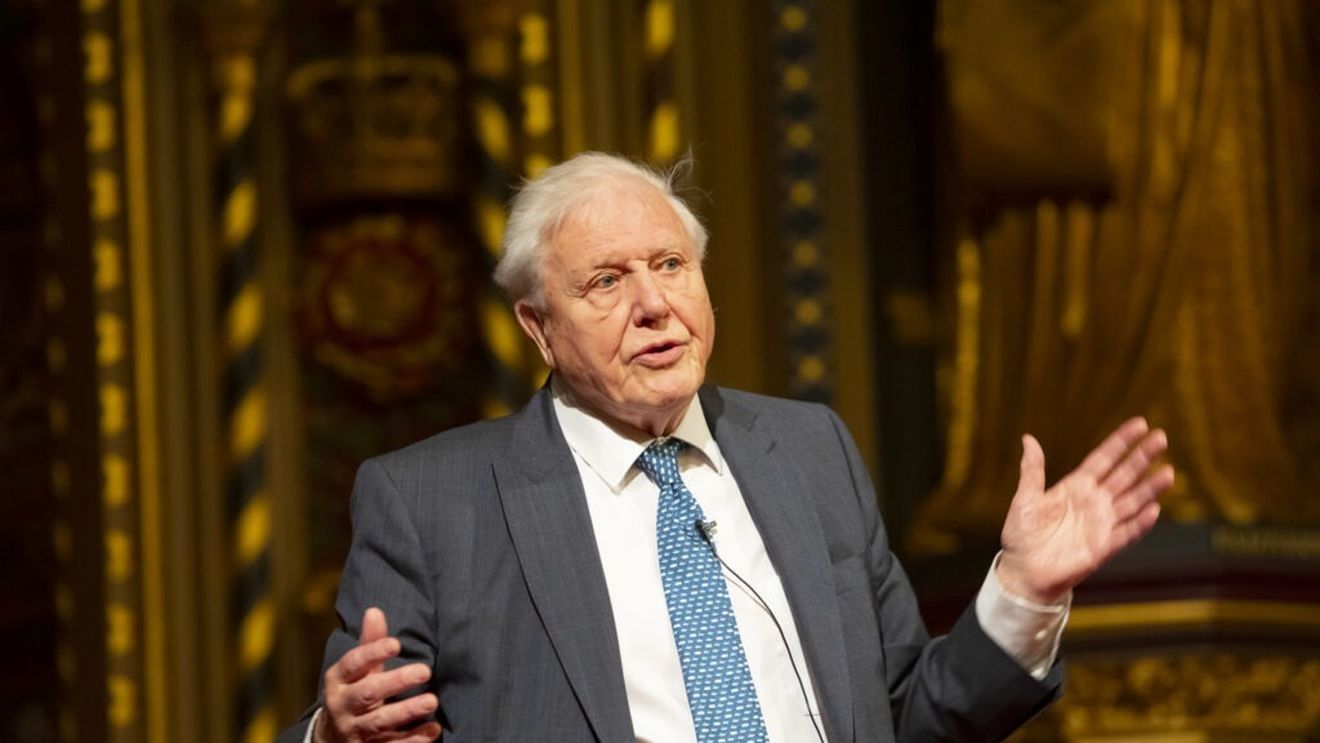 „Omenirea stoarce viața din oceane”. La aproape 99 de ani, naturalistul David Attenborough lansează un nou documentar tulburător, „Ocean”, în care critică dur practicile distructive ale pescuitului industrial