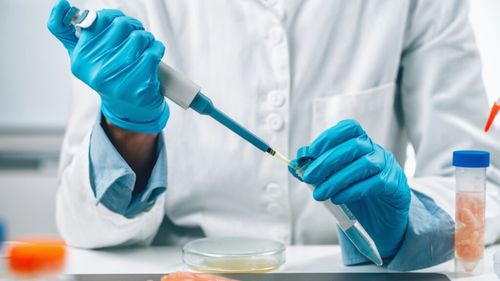 Marea Britanie a început controalele fizice la importurile de alimente proaspete din Uniunea Europeană / Retaileri: Vor fi mai puține produse proaspete și prețuri mai mari