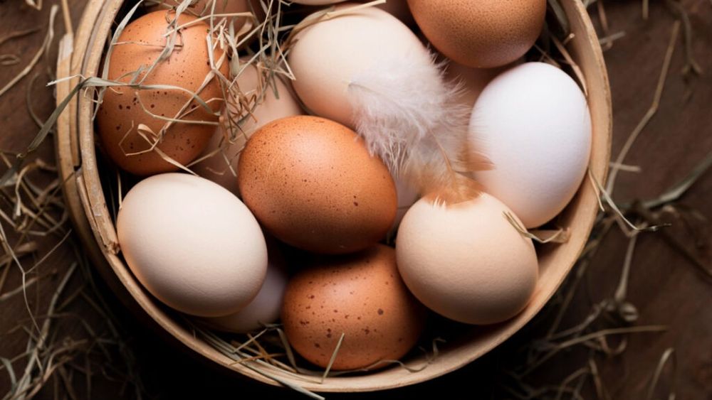 Casa Albă acuză administrația Biden pentru lipsa ouălor din magazine și creșterea prețului acestora/ „Peste 100.000 de milioane de păsări au fost omorâte la ordinul Departamentului pentru Agricultură”