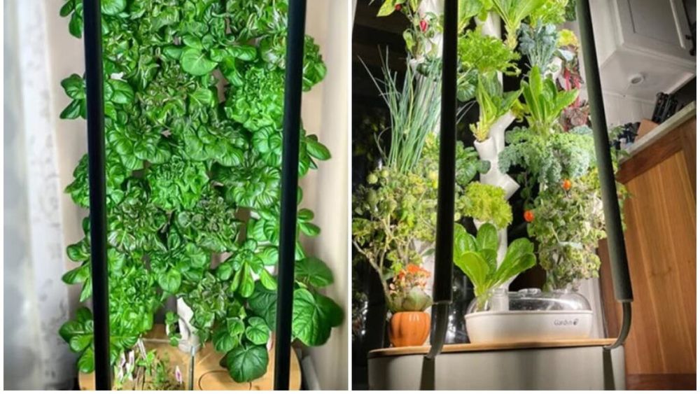 VIDEO | Sistemul de cultivare verticală în interior pe care să-l pui în bucătărie. Poate include 30 de tipuri de plante în același timp