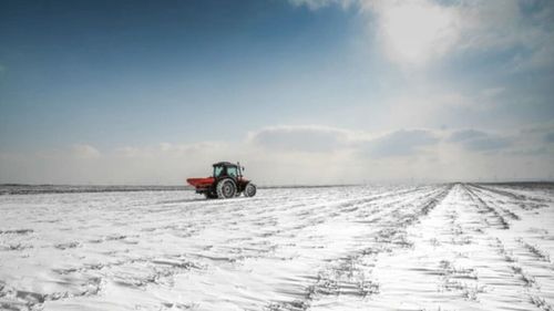 Ninsorile, o bucurie pentru fermieri. Specialiștii, însă, avertizează: „NU fertilizați acum!”