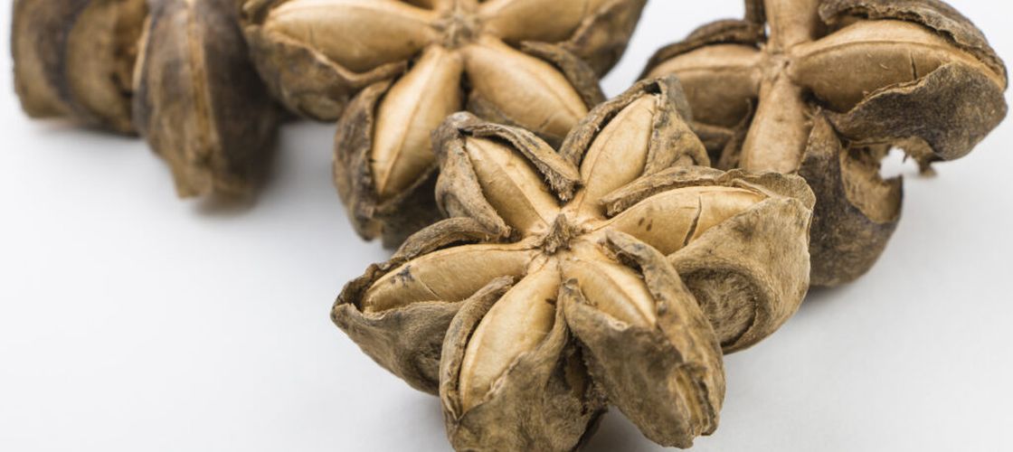 Sămânța în formă de stea despre care se vorbește tot mai mult / Este bogată în proteine și Omega-3 și ar putea deveni următorul superaliment