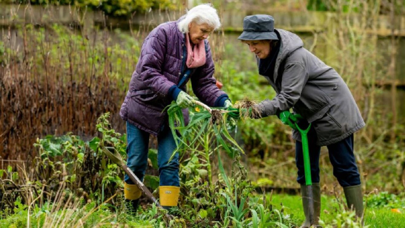 Peste 20 de asociaţii şi iniţiative civice solicită primăriilor susţinere pentru amenajarea grădinilor comunitare