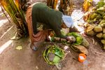 „Banana pe steroizi” care rezistă la secetă și boli și ar putea hrăni milioane de oameni. De ce „arborele împotriva foametei” este cultivat aproape exclusiv într-o singură țară
