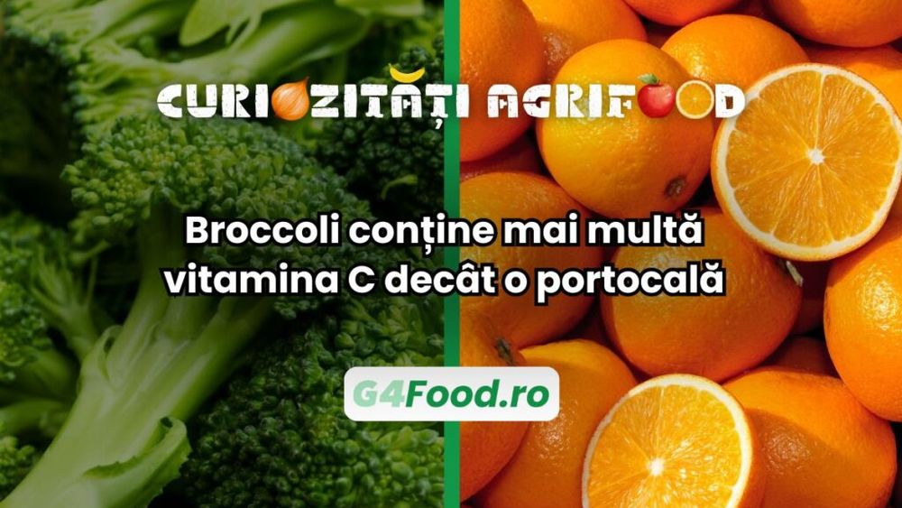 Curiozități agri-food: Broccoli conține mai multă vitamina C decât o portocală / Afirmația este valabilă pentru leguma în stare crudă, ceea ce face comparabile cele două vegetale din acest punct de vedere