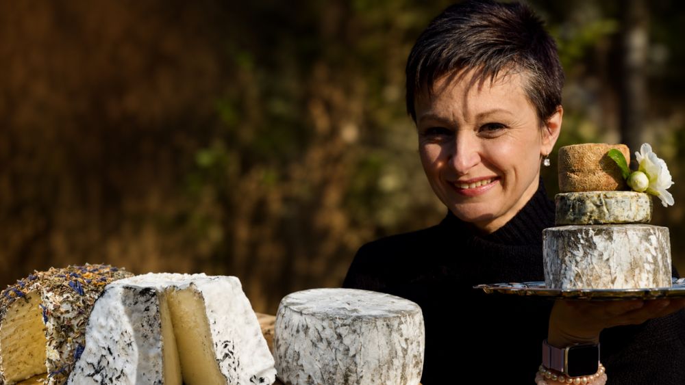 Patru brânzeturi românești au intrat în Cheese Library / Două produse artizanale din Brașov ajung în atenția specialiștilor din întreaga lume / Andreea Popa: „Este o metodă de expunere a brânzeturilor românești foarte bună”